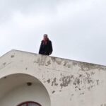 Brancaleone primeiro protesta e depois ameaça cometer suicídio. Antonio Cuppari no telhado de sua casa: “Justiça ou acabo”