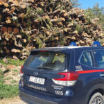 Controlos do corte florestal e rastreabilidade da madeira em toda a província de Cosenza, multas superiores a 16 mil euros