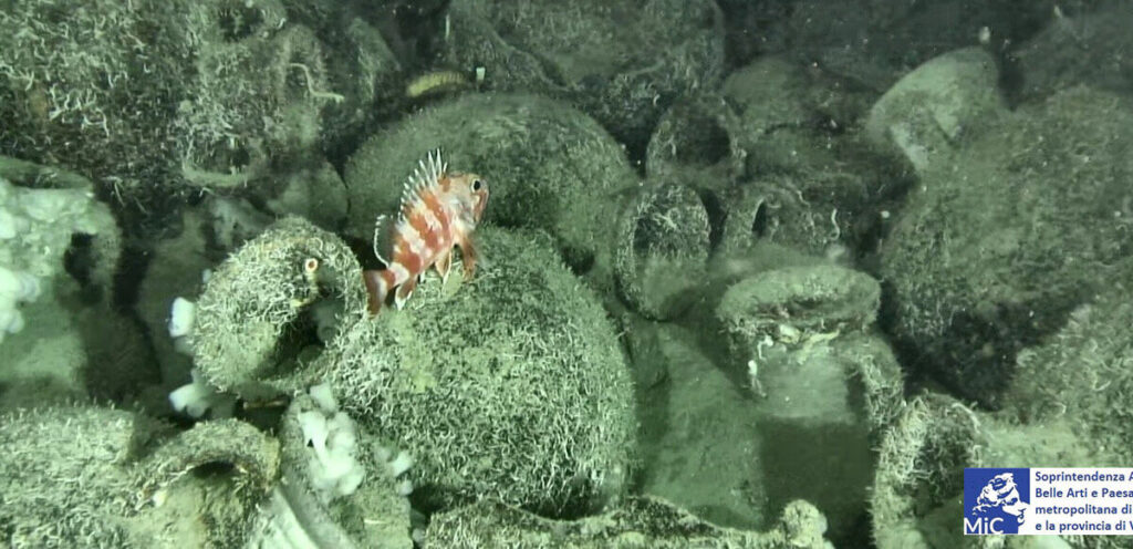A história emerge das turbinas eólicas: a usina offshore revela um naufrágio com 300 ânforas do século V aC na costa de Monasterace