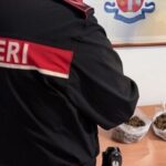 Messina, mais de meio quilo de droga apreendida pela polícia: duas detenções