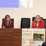 Recursos do fundo “Depois de nós”, Straface reúne setores sociais: “Relatório até 31 de maio”