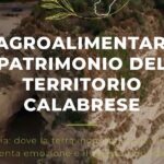Nasce CALAgriFood, a plataforma que conecta agricultura, inovação e sustentabilidade