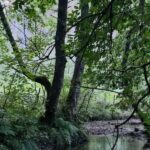 O sentido volta a Mabos: este ano a residência de arte contemporânea será realizada às margens do rio Melito, na área dedicada a Gioacchino da Fiore