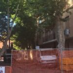 Reggio Calabria, apelo dos moradores de Pellaro para salvar os freixos centenários que já foram cortados