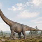 Um dinossauro de 20 metros de comprimento descoberto na Tailândia, com pescoço da altura de um prédio de três andares