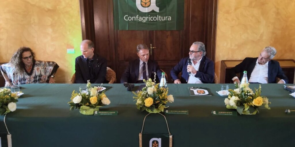 Agricultura, Lollobrigida: a Calábria hoje sabe criar riqueza FOTO