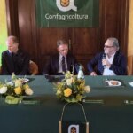 Agricultura, Lollobrigida: a Calábria hoje sabe criar riqueza FOTO