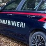 Caronia, três caçadores denunciados por caça furtiva no Parque Nebrodi