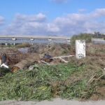 Catanzaro: três projetos para revitalizar a área da foz do rio Corace