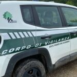 Dois pesquisadores se perdem na floresta de Nebrodi. Encontrado às 4 da manhã