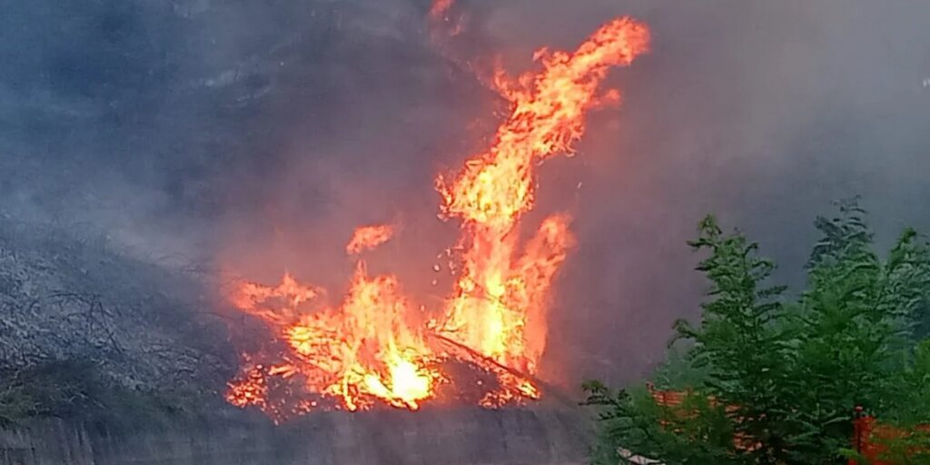 Emergência de incêndio na área de Vibo: incêndio ameaça SS 182 em San Gregorio