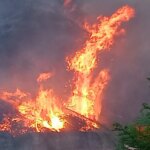 Emergência de incêndio na área de Vibo: incêndio ameaça SS 182 em San Gregorio