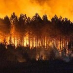 França em chamas, Gironda devastada: 220 mil evacuados para os arredores de Bordéus