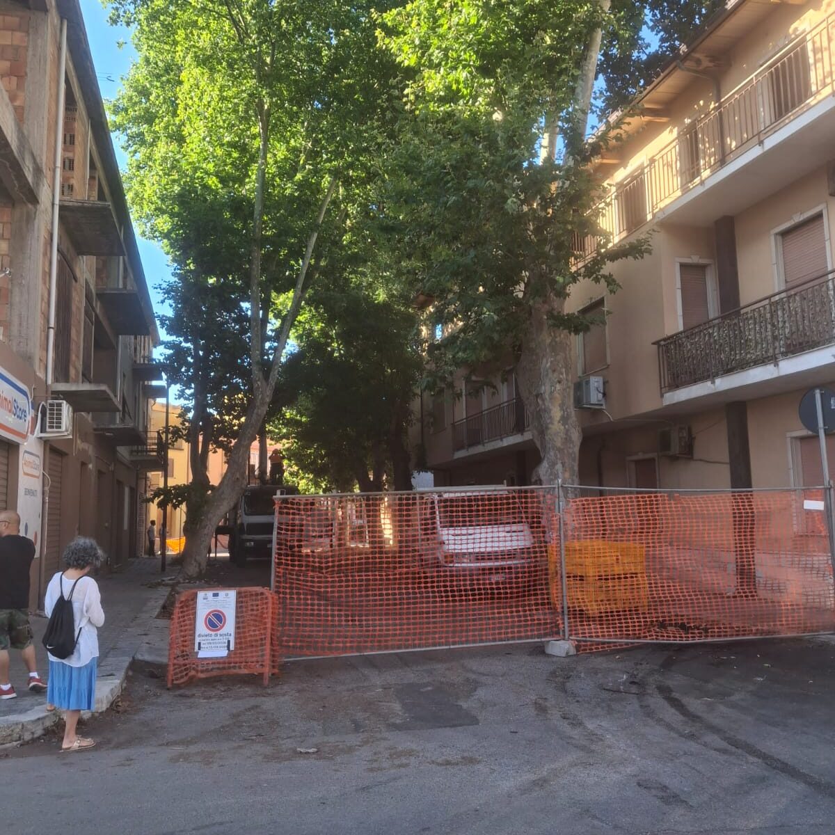 Os freixos da Viale della Rimembranza em Pellaro