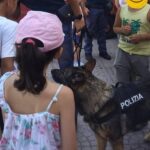Reggio Calabria: um dia de legalidade para as crianças no Oratório Sant'Antonio Abate de Terreti