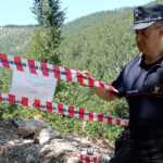 Acquaformosa, corte ilegal de árvores no Parque Nacional Pollino: informou empresa florestal