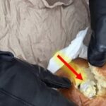 Messina, a granita com brioche e... cocaína para dar a um conhecido no hospital: preso de 39 anos