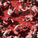 Uma hora de batalha e 150 mil quilos de tomate: o país que todo mês de agosto vira um rio vermelho. A Tomatina de Buñol está de volta