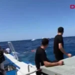 A balsa afundou no norte de Chipre, pelo menos 8 mortos: capitão e tripulação presos