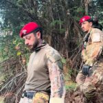 Expansões de cannabis em San Giovanni di Gerace, mais de 500 plantas descobertas e destruídas