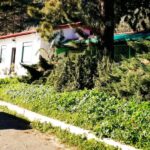 Messina, depois de 10 anos fecha o abrigo que acolhia cães e gatos