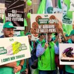 Agricultura, «Os números não batem»: trinta produtores calabreses protestando em Montecitorio em 21 de outubro