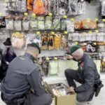 Apreensão na área de Vibonese: mais de 3.400 itens de Halloween e bijuterias ilegais retirados do mercado