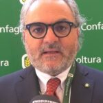 Caros combustíveis, Statti (Confagricoltura) sobre os 15 milhões atribuídos pela Região da Calábria: «Cuidado com o gasóleo agrícola»