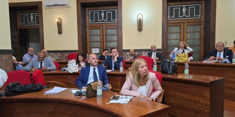 Dos armazéns costeiros ao comércio Vibo: executivo Romeo sob “exame”