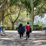 Messina e Villa Sabin abrem novamente após verificações nas árvores