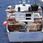 Querido combustível, dia 22 é a vez dos pescadores. Estreito de Messina “invadido” por cem barcos