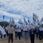 Trabalhadores da Konecta R, Orrico (M5S): “As promessas de Occhiuto foram descumpridas, questionou o Ministro Urso”